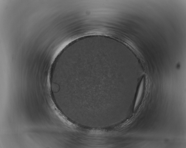 X0000116770788200912241202