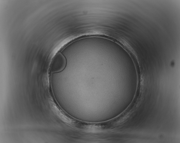 X0000116770789200912241202