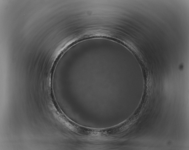 X0000116770790200912241202