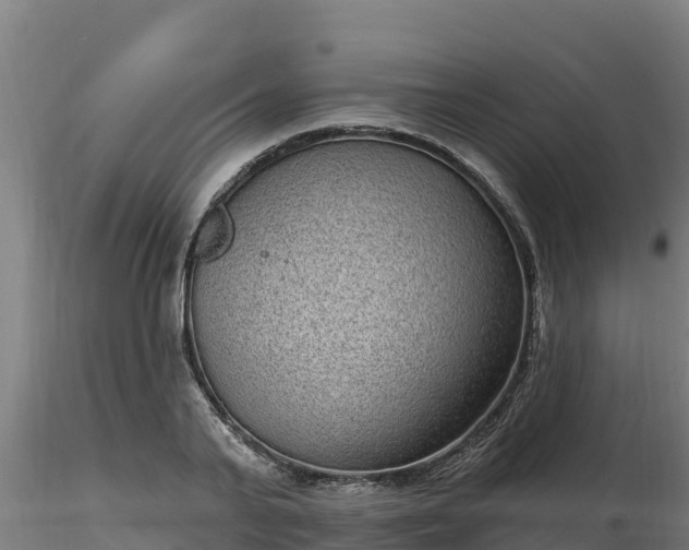 X0000116770791200912241202