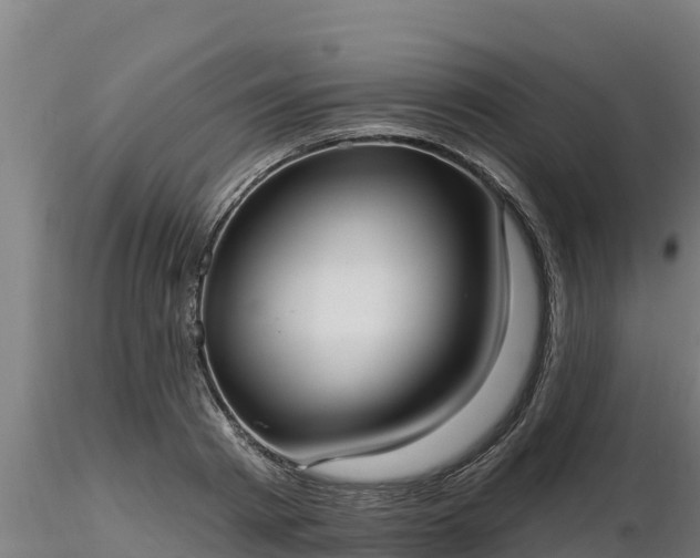 X0000116770793200912241202