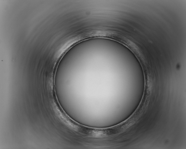 X0000116770794200912241202