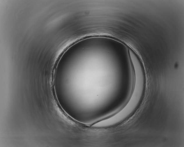 X0000116770797200912241202