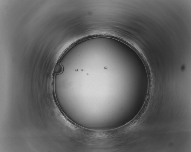 X0000116770799200912241202