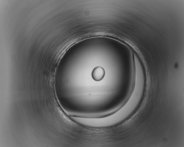 X0000116770801200912241202