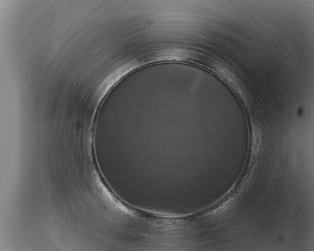 X0000116770802200912241202