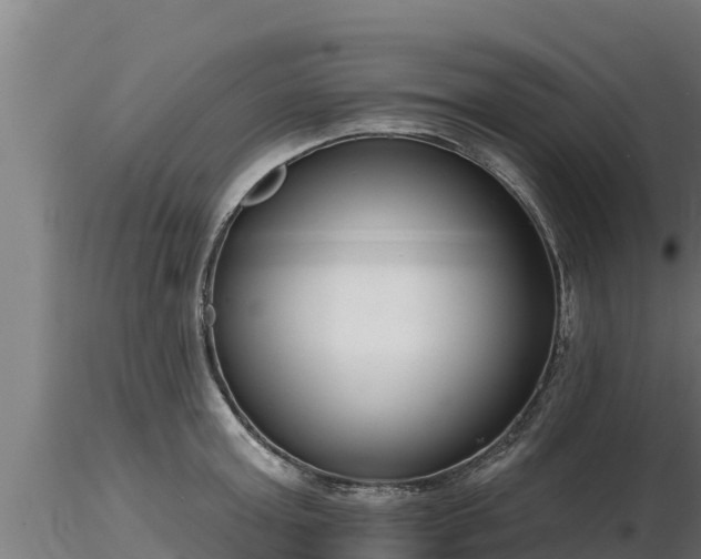X0000116770803200912241202
