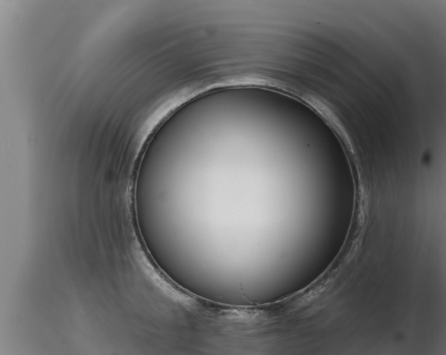 X0000116770805200912241202