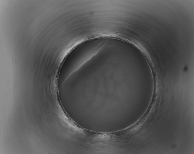 X0000116770806200912241202