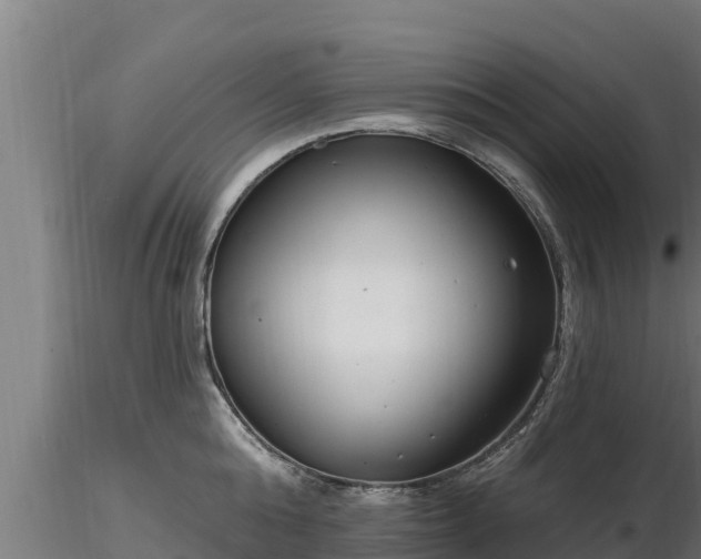 X0000116770808200912241202
