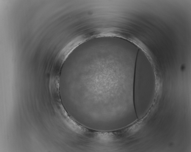 X0000116770809200912241202