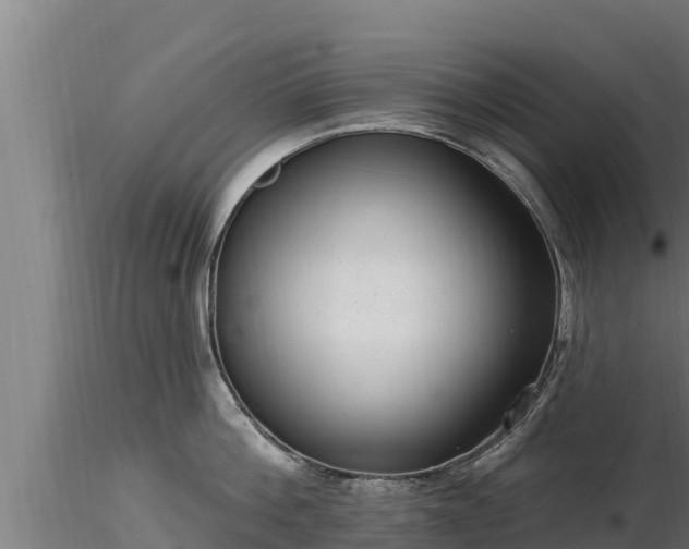 X0000116770812200912241202