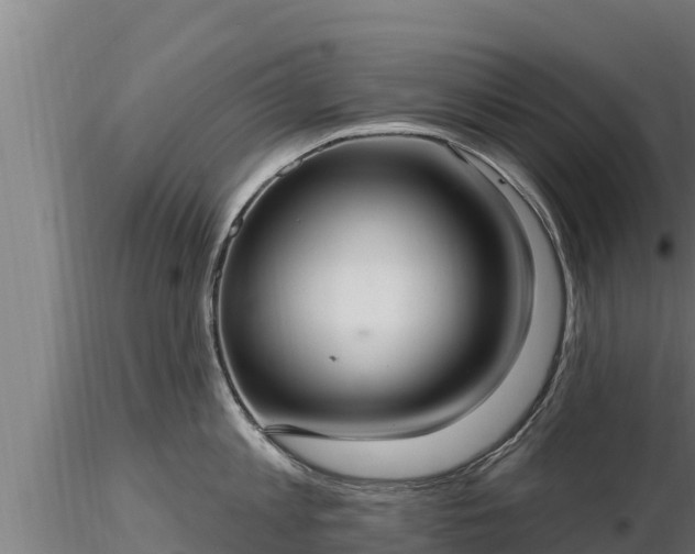 X0000116770813200912241202