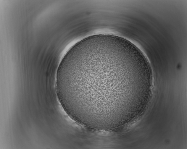 X0000116770815200912241202