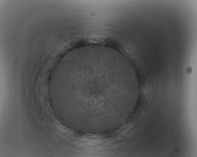 X0000116770817200912241201