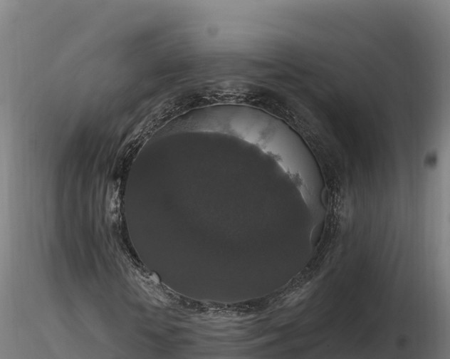 X0000116770818200912241201