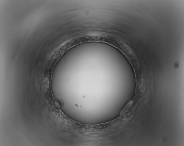 X0000116770821200912241201