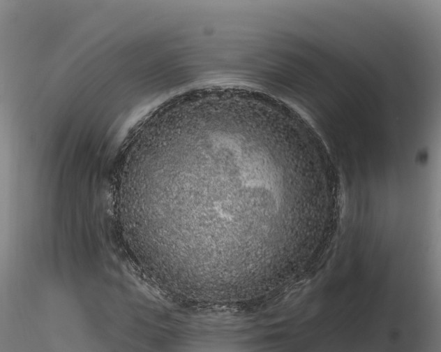 X0000116770823200912241201