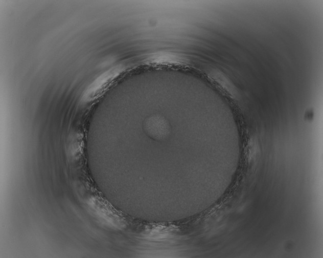 X0000116770824200912241201