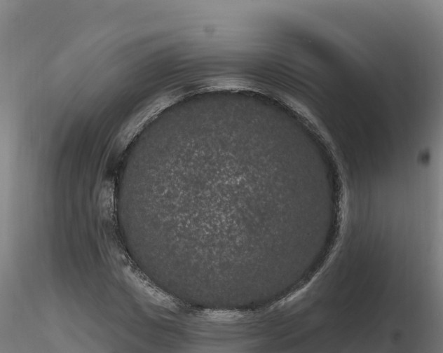 X0000116770825200912241201