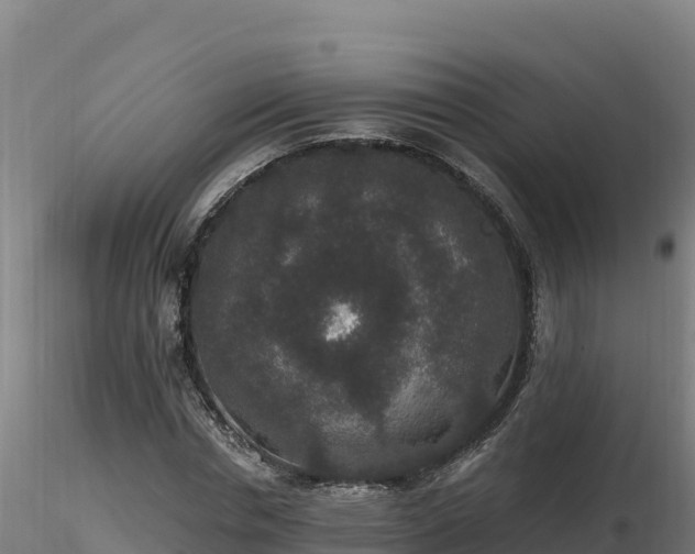 X0000116770826200912241201