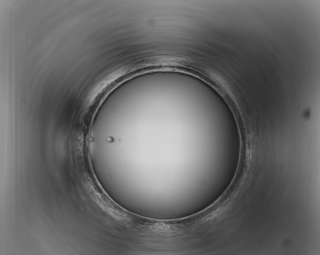 X0000116770827200912241201