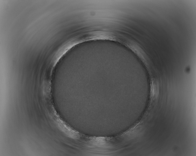 X0000116770828200912241201