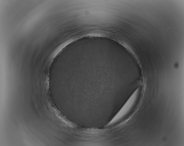 X0000116770829200912241201