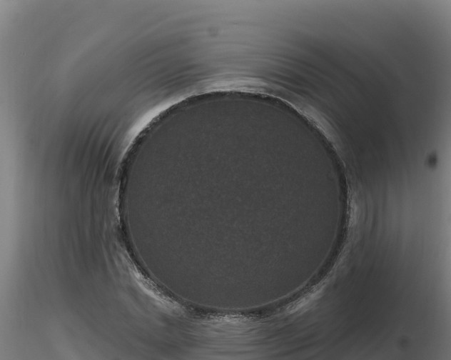 X0000116770830200912241201