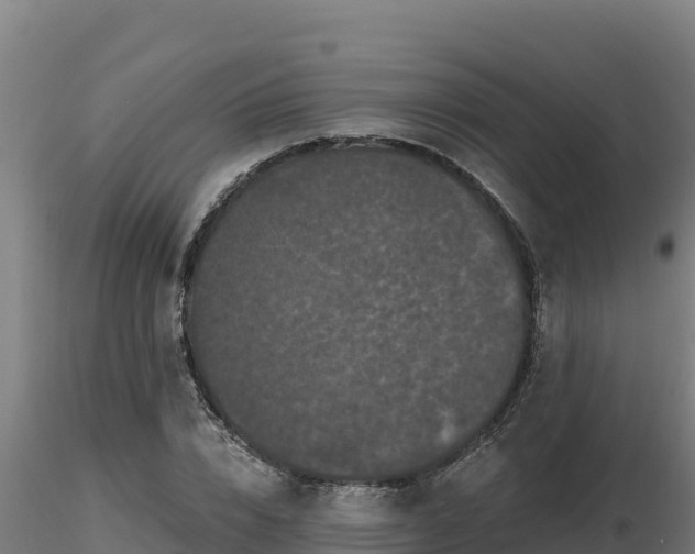 X0000116770832200912241201