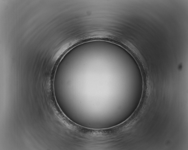 X0000116770834200912241201