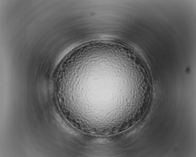 X0000116770835200912241201
