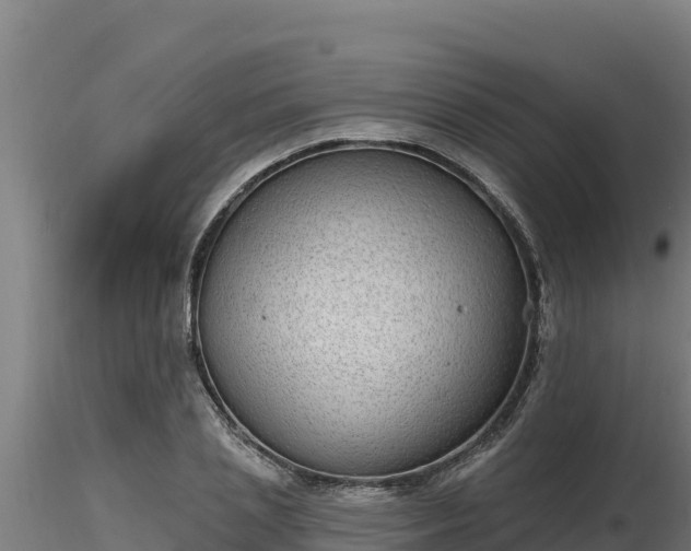 X0000116770837200912241202