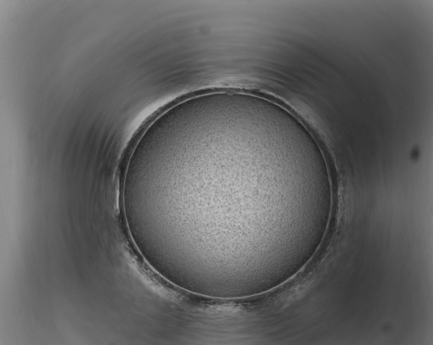 X0000116770838200912241202