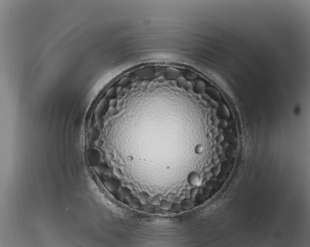 X0000116770839200912241202