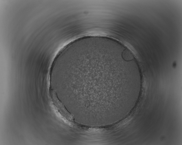 X0000116770840200912241202