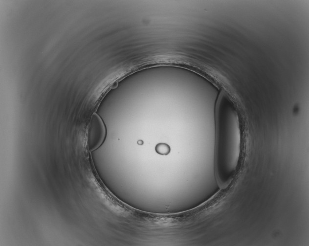 X0000116770841200912241202