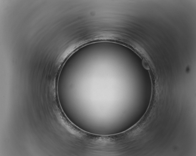 X0000116770842200912241202