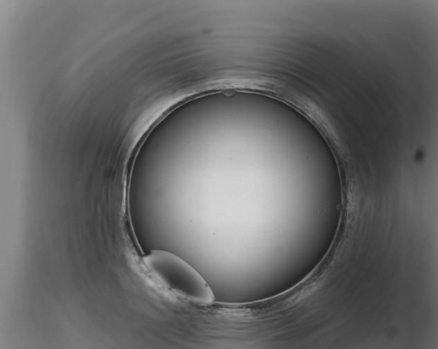 X0000116770844200912241202