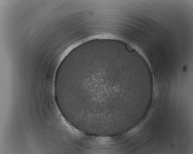 X0000116770845200912241202