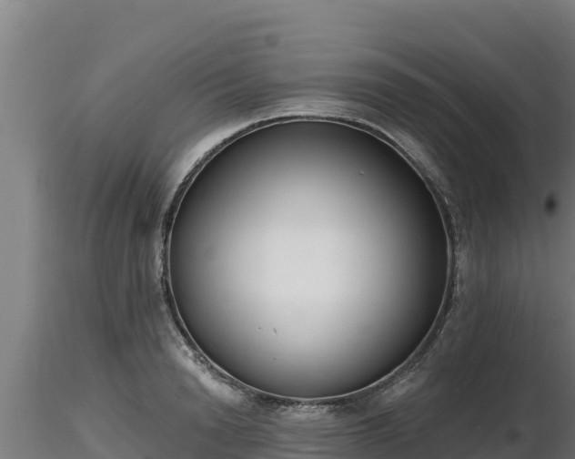 X0000116770846200912241202