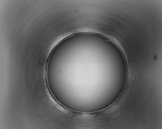 X0000116770847200912241202