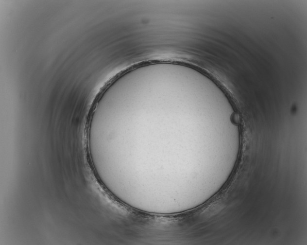 X0000116770848200912241202