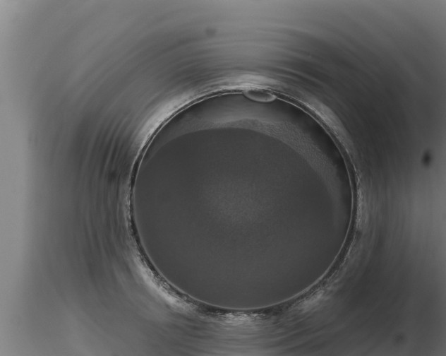 X0000116770850200912241202