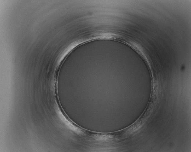 X0000116770851200912241202