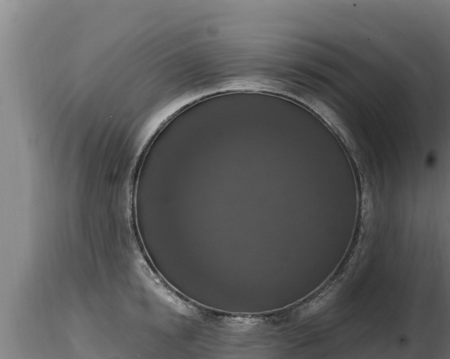 X0000116770854200912241202