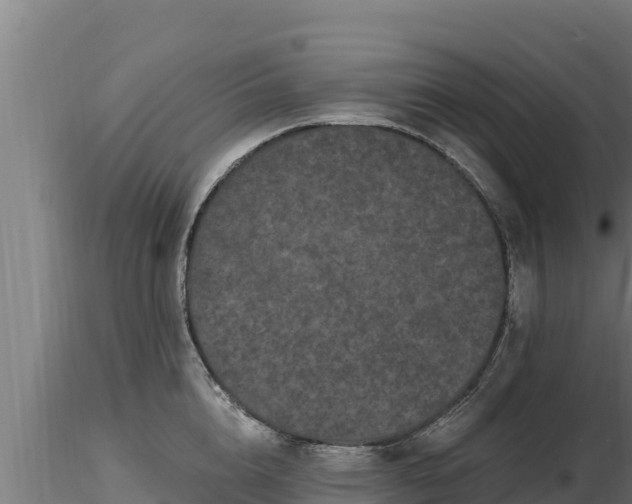 X0000116770856200912241202