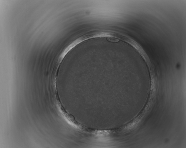 X0000116770858200912241202