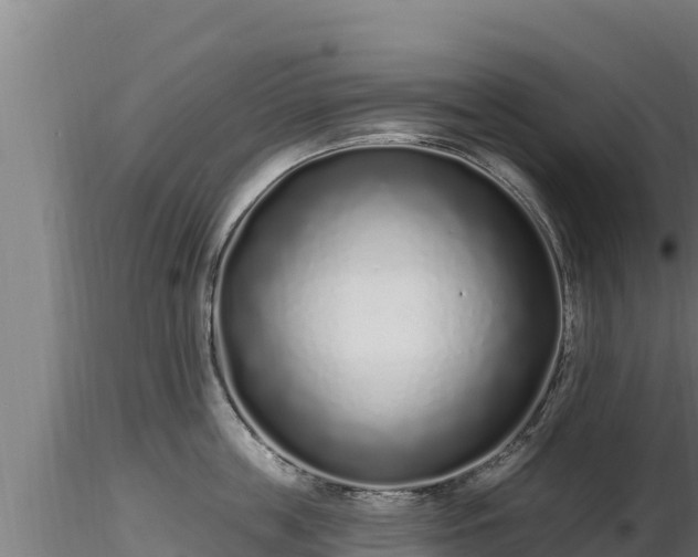 X0000116770859200912241202