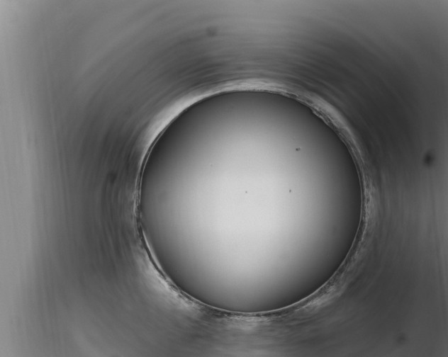 X0000116770860200912241202